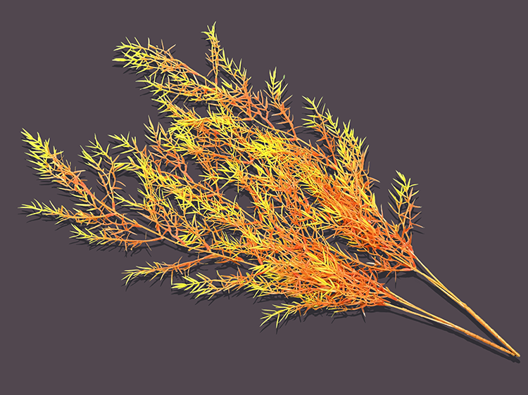 Wedding Series, Artificial Plant Orange