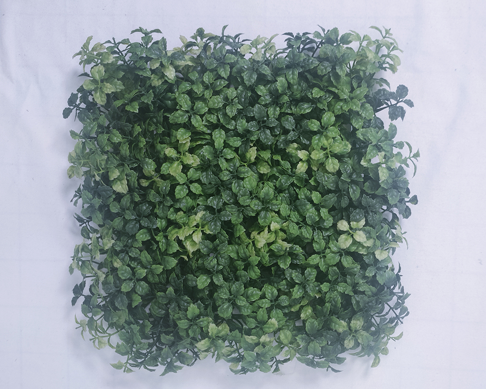 Simulated turf of Galaxy leaf B100