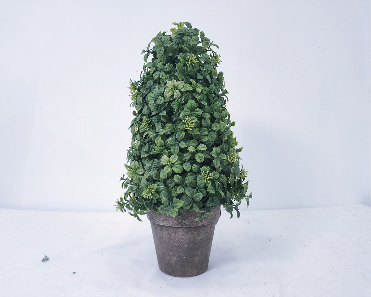 Galaxy leaf B Ophiopogon japonicus fruit simulation tree