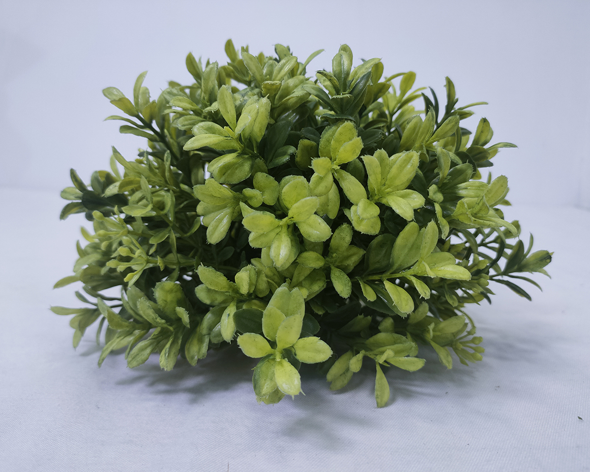 Scorching sun, wolfberry leaf, Yangchun apricot, peach leaf B, simulated flower ball