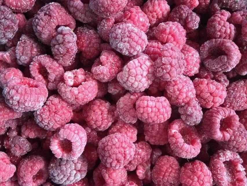 IQF Frozen Raspberry