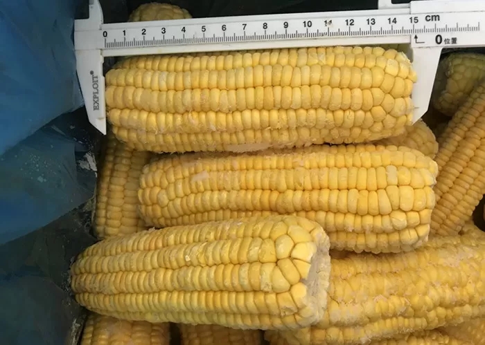 IQF Whole Sweet Sticky Corn