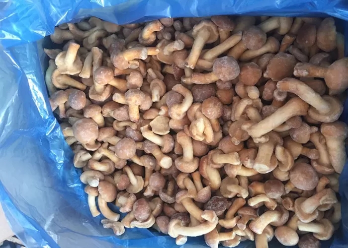 IQF Cultivated Nameko Mushrooms