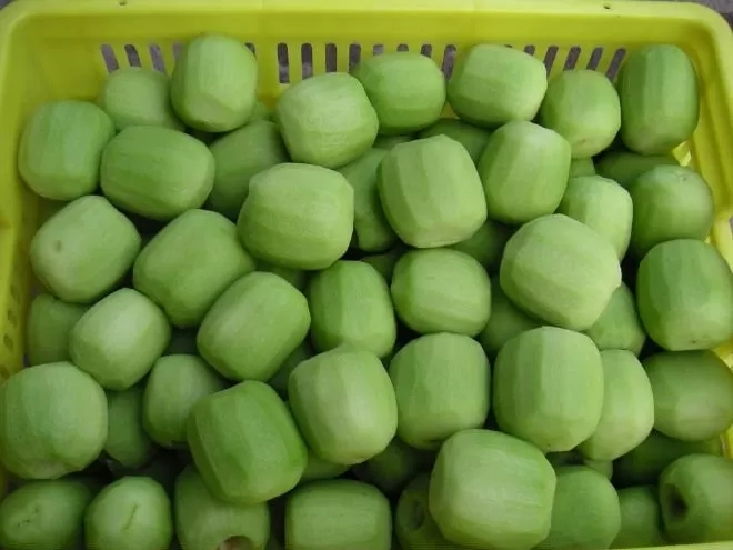 IQF Frozen Kiwi