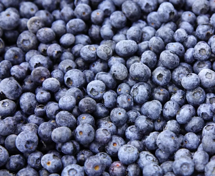 Frozen Blueberry
