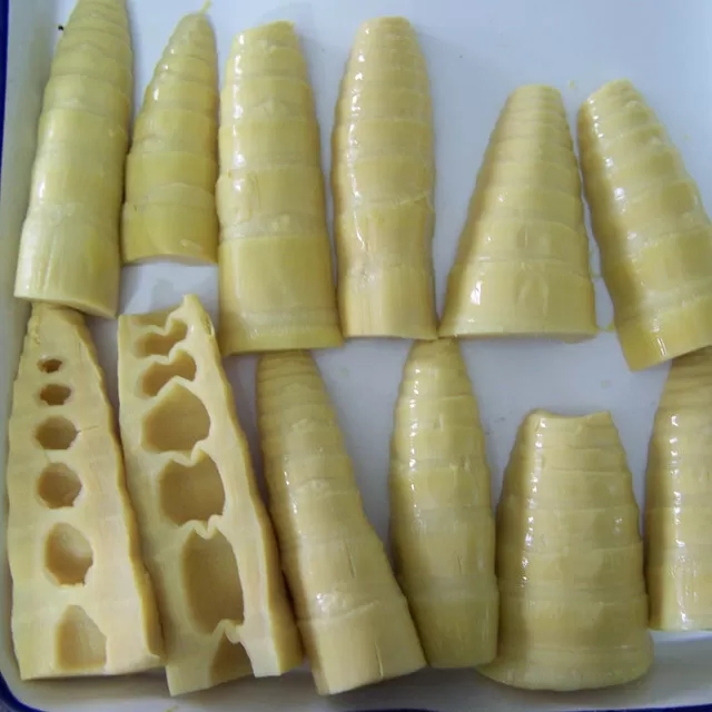 Canned  Bamboo Shoot