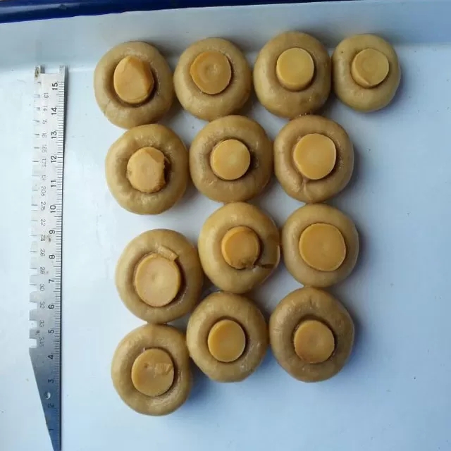 Canned  Mushroom