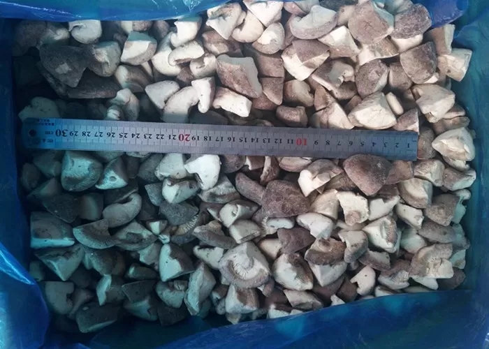 IQF Mushrooms / Shiitake Mushrooms Quarter Cut