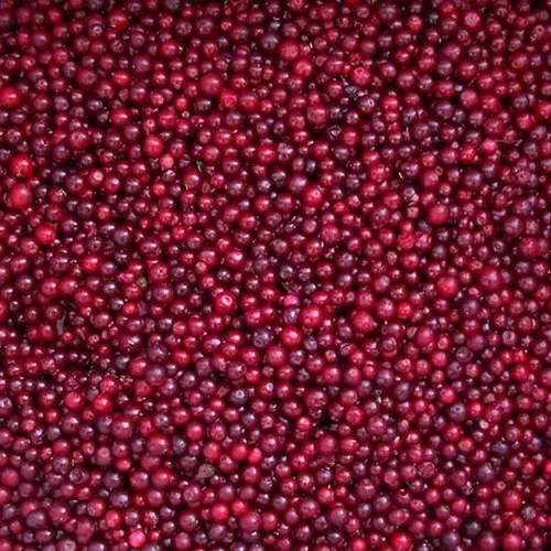 Frozen  Lingonberry