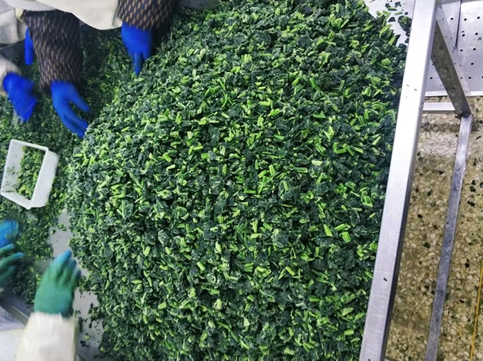 IQF Frozen Spinach