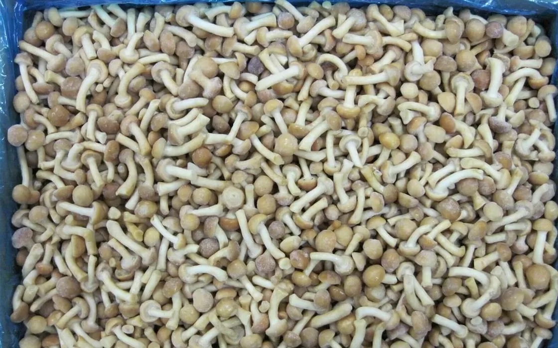 Frozen Organic Nameko