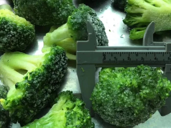 IQF Frozen Broccoli