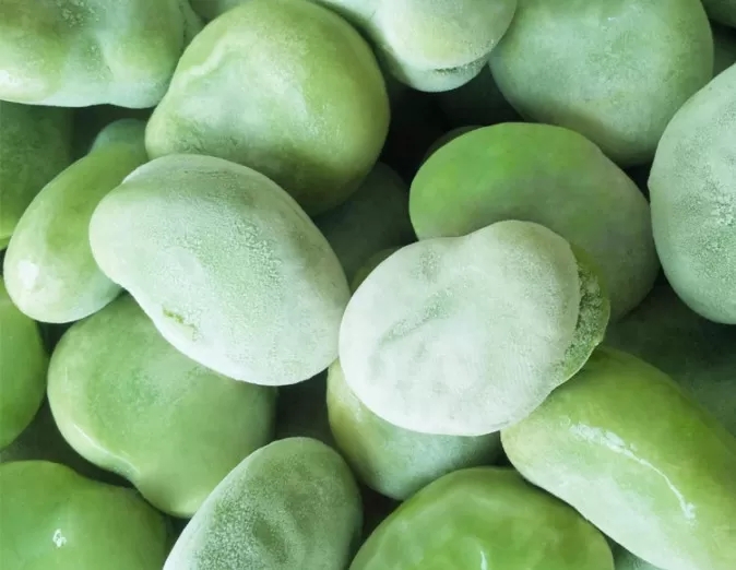 IQF Frozen Peeled Broad Beans