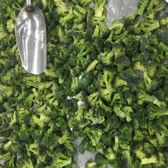 IQF Frozen Broccoli