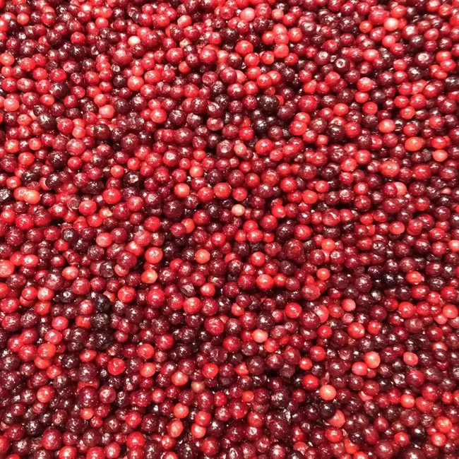 Frozen Sweet Wild/Cultivated Lingonberry