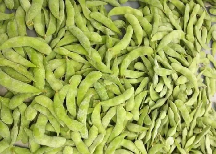 Frozen edamame