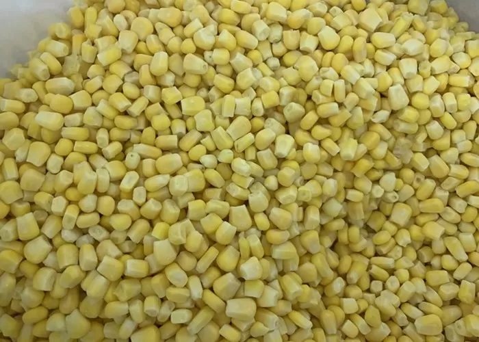 IQF Frozen sweet corn