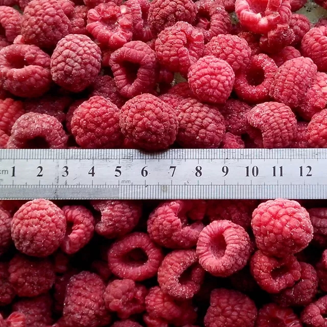 Frozen Raspberry