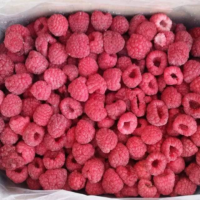 IQF Raspberry Whole 95/5