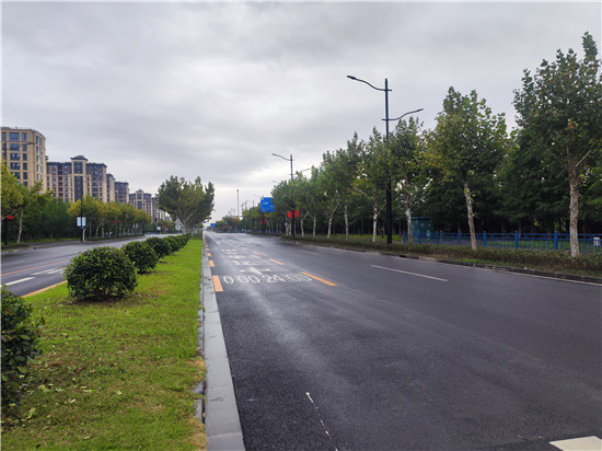 中运量绿化提升，助力城市新形象