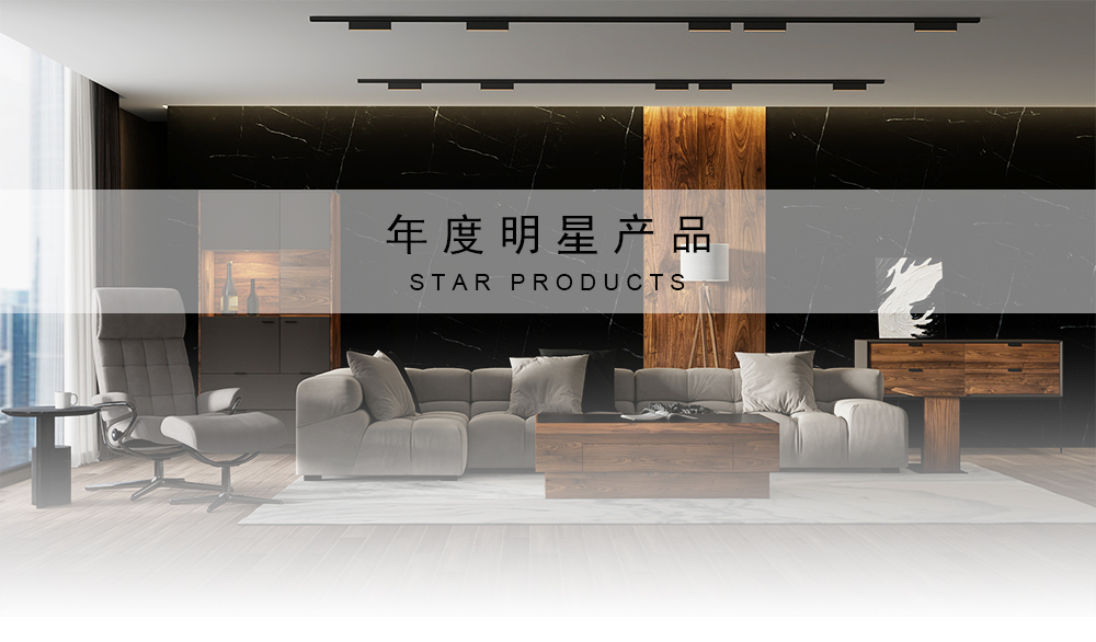 2024年度明星产品