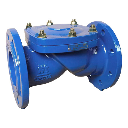Flexible Seal Check Valves