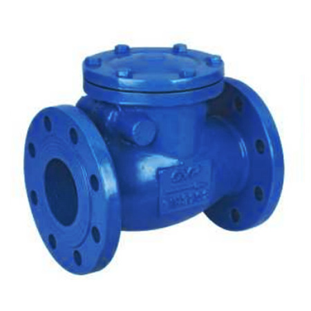 Swing Check Valves