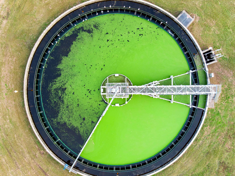 Sewage