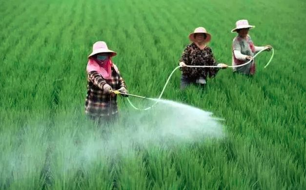 纳米二氧化钛应用在农药的分解和降解的研究