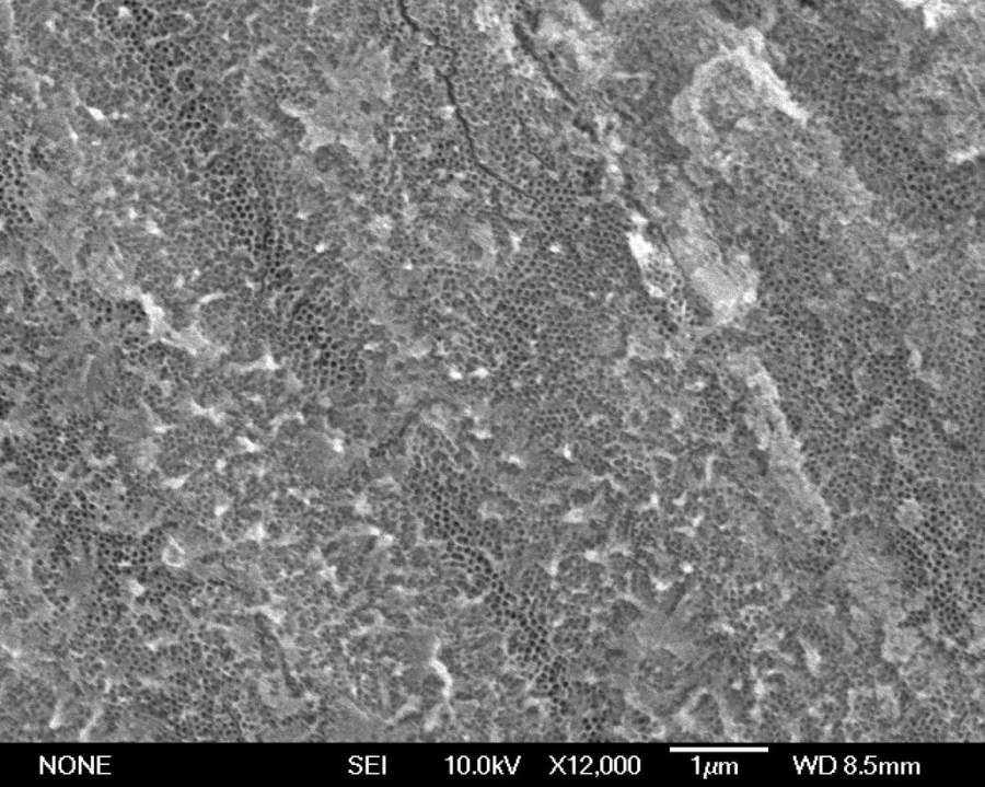 纳米二氧化钛TEM 纳米二氧化钛TEM