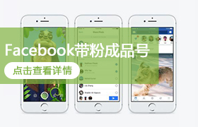 Facebook带粉成品号