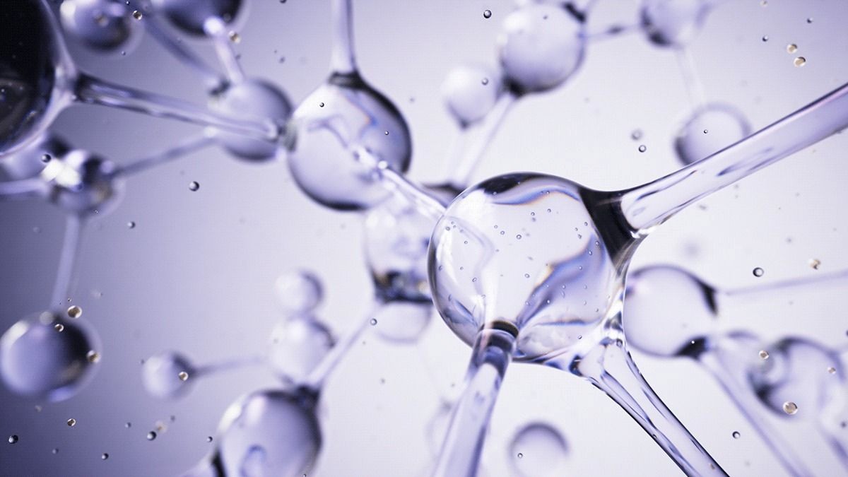 Viablife Ceramide NP 唯铂莱神经酰胺 NP