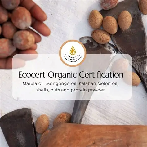 Namib Desert Ecosystem