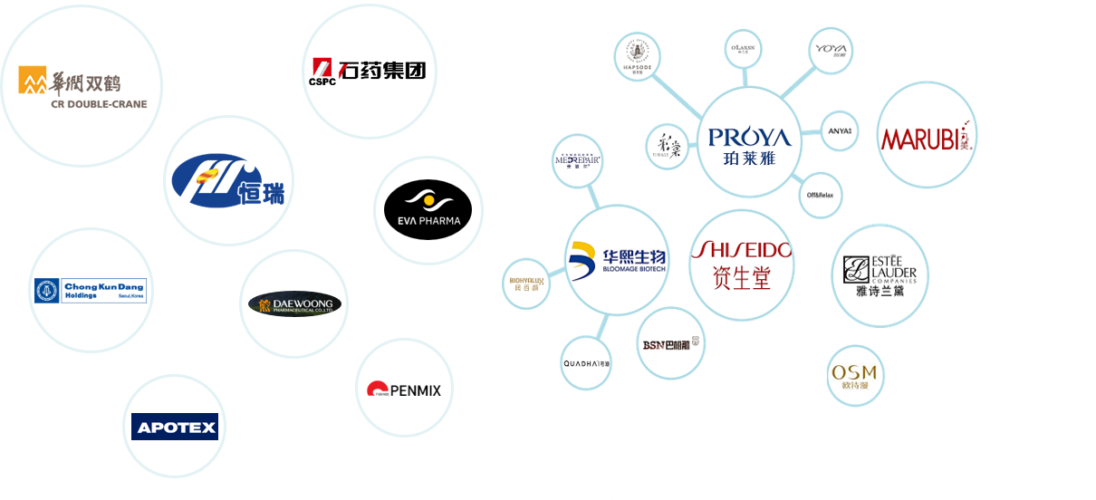 Global Partners