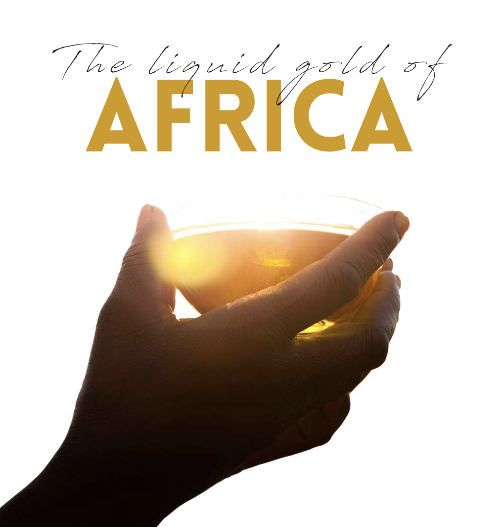 Sustainability & Community