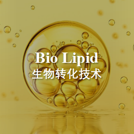 Bio Lipid发酵技术