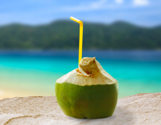 COCOCIN WS (COCOS NUCIFERA) CH 鲜椰汁冻干粉