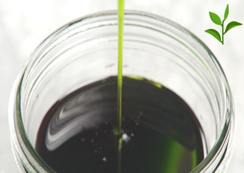 U-ferment®Oil Green