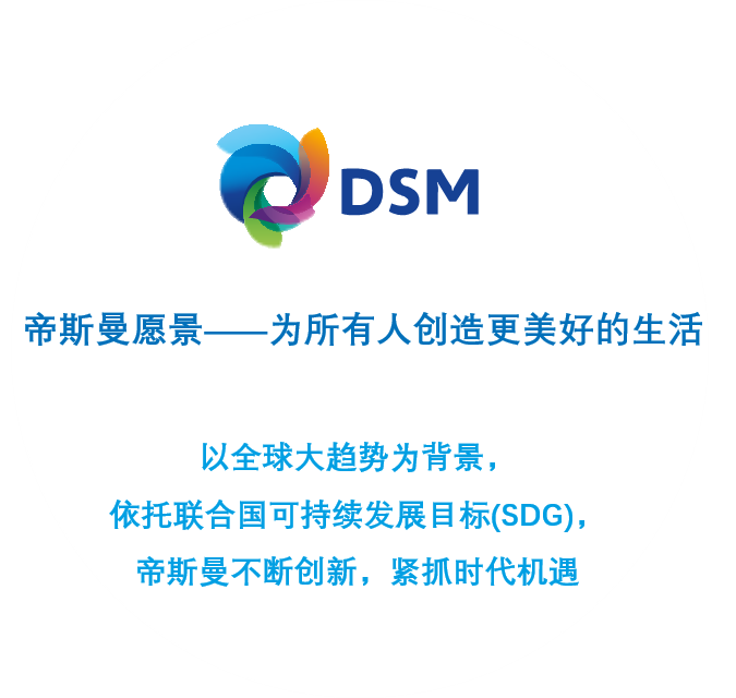 DSM Vision