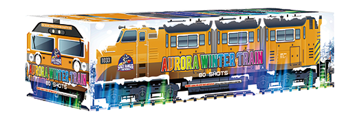 AURORA WINTER TRAIN | 80 shots