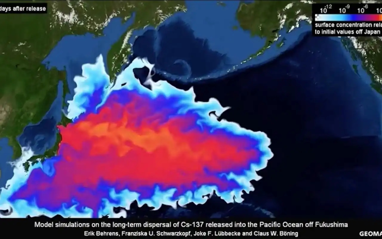 The impact of nuclear pollution in Japan