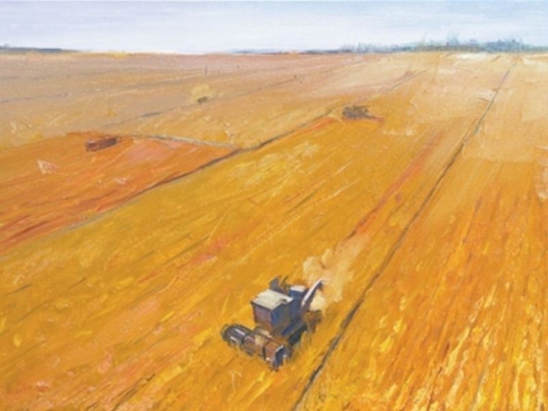 外国画家 用画笔记录中国高质发展