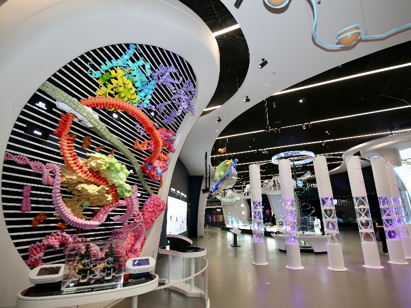 香江鵬城情—賀香港商報組織2025世界華文媒體社長總編輯深圳行圓滿成功