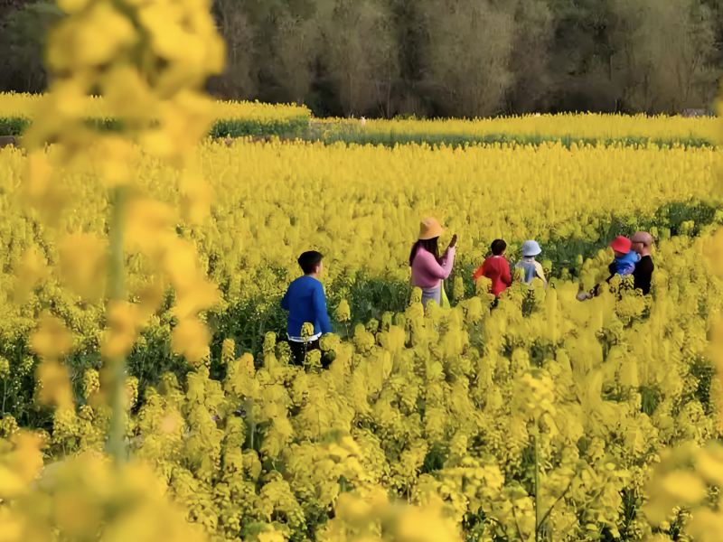 乡村旅拍定制 文旅新热潮下的乡村焕新密码