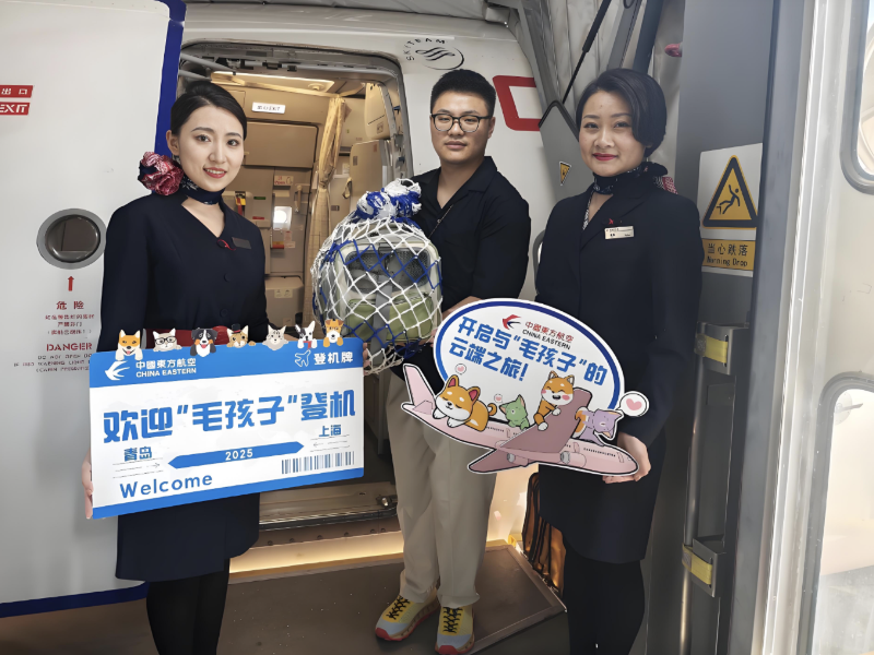 宠物旅游市场爆发上万元消费成常态 百亿级产业加速崛起