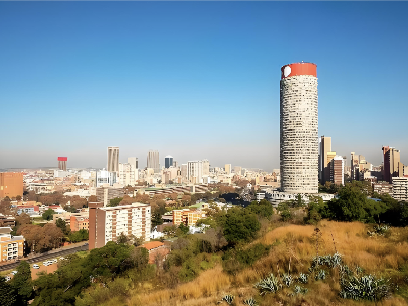 南非内阁 对二十国集团约翰内斯堡峰会筹备信心满满