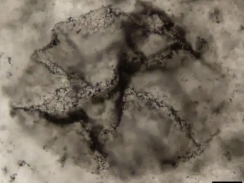 多学科团队融合尖端科技 解锁33亿年前生命密码