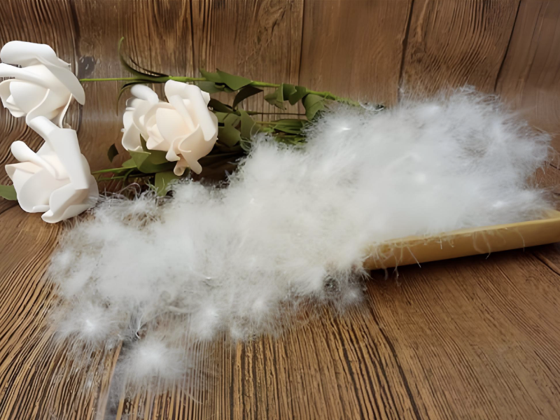 寒潮来袭羽绒服价格持续走高 消费者更看重品质与设计