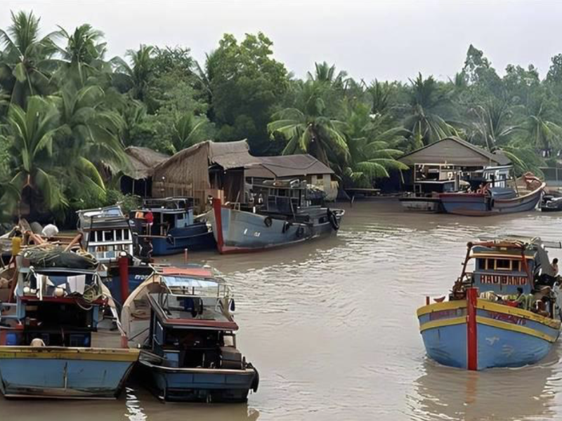 中泰共赴十年之约 清莱稻香里奏响秸秆综合利用新乐章