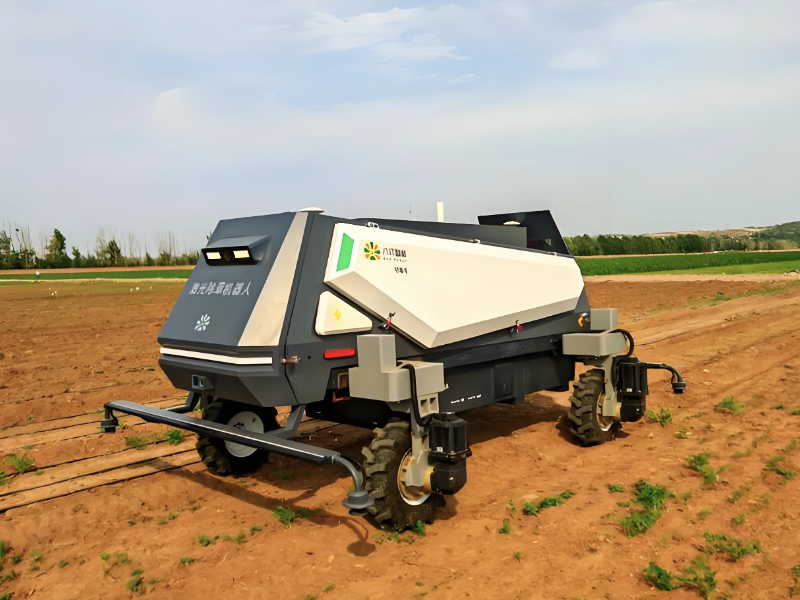 首台苜蓿智能除草机器人亮相 每小时万株清理